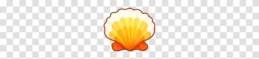 Image, Invertebrate, Animal, Clam, Seashell Transparent Png