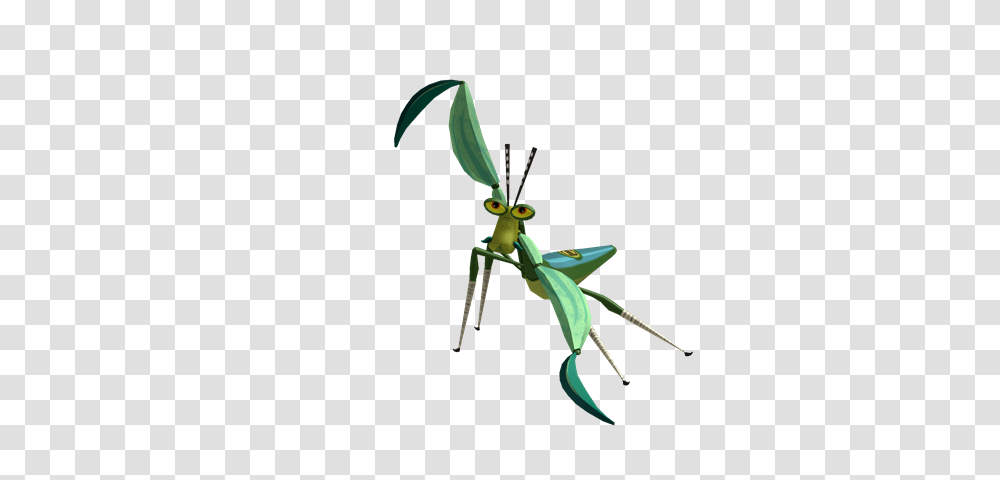 Image, Invertebrate, Animal, Insect, Cricket Insect Transparent Png