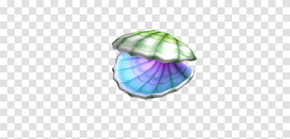 Image, Invertebrate, Animal, Sea Life, Seashell Transparent Png