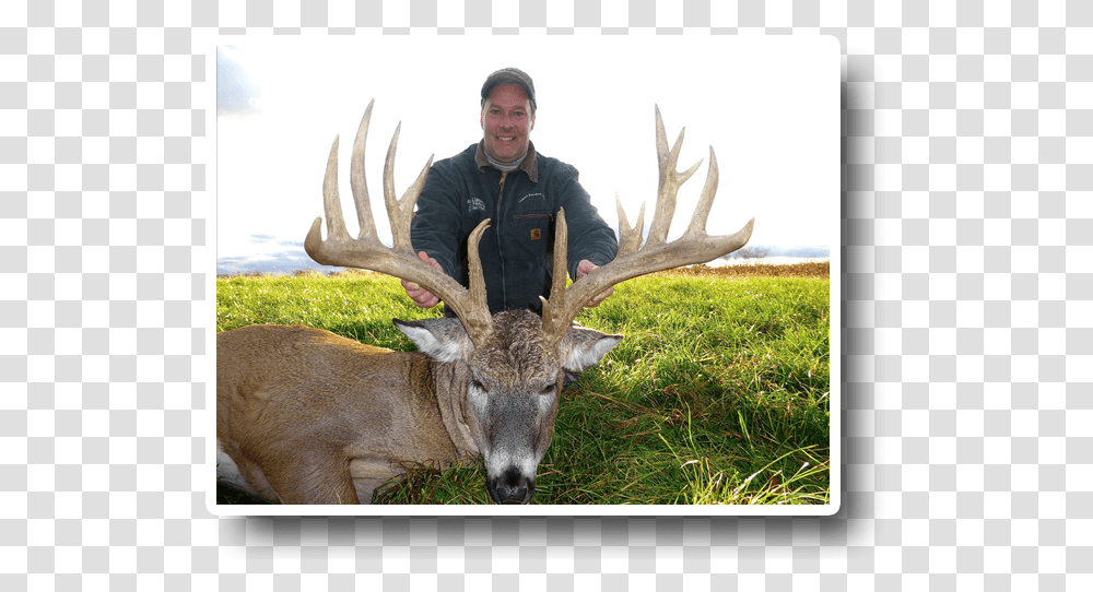 Image Is Not Available Elk, Person, Human, Antler, Antelope Transparent Png