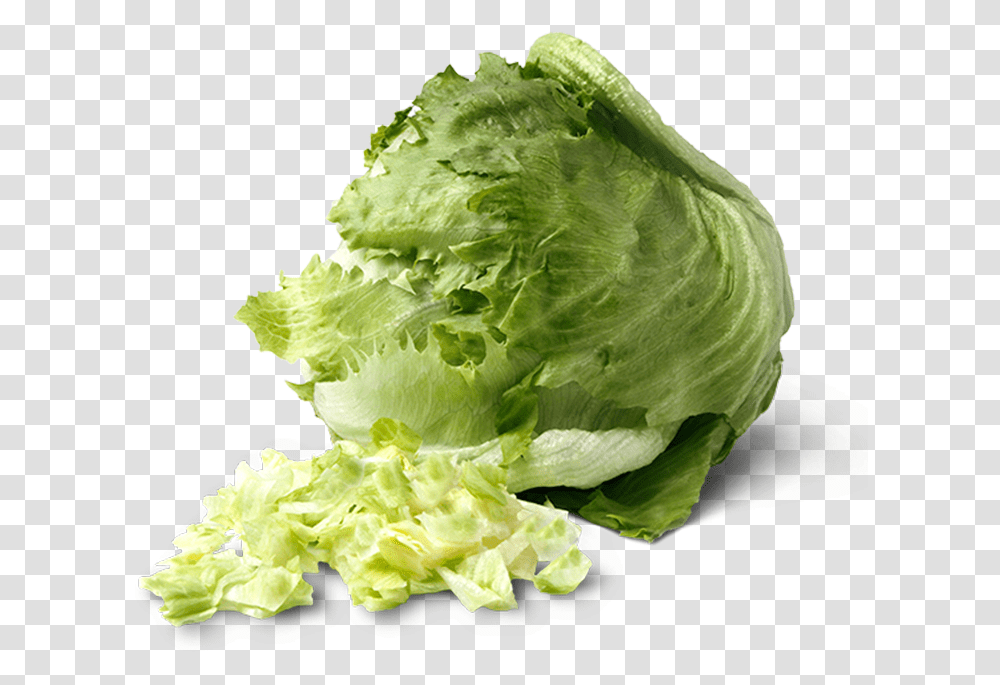 Image Is Not Available Iceburg Lettuce, Plant, Vegetable, Food, Cabbage Transparent Png