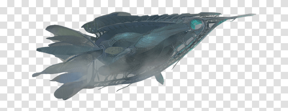 Image Is Not Available Sailfish, Animal, Sea Life, Turtle, Coho Transparent Png