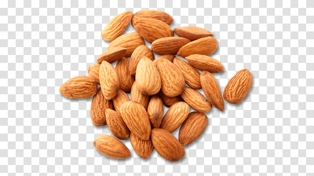 Image Is Not Available Yogurt, Almond, Nut, Vegetable, Plant Transparent Png