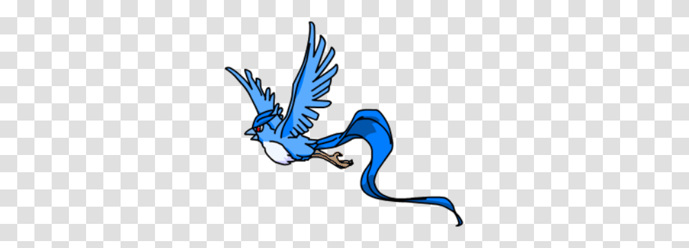Image, Jay, Bird, Animal, Blue Jay Transparent Png