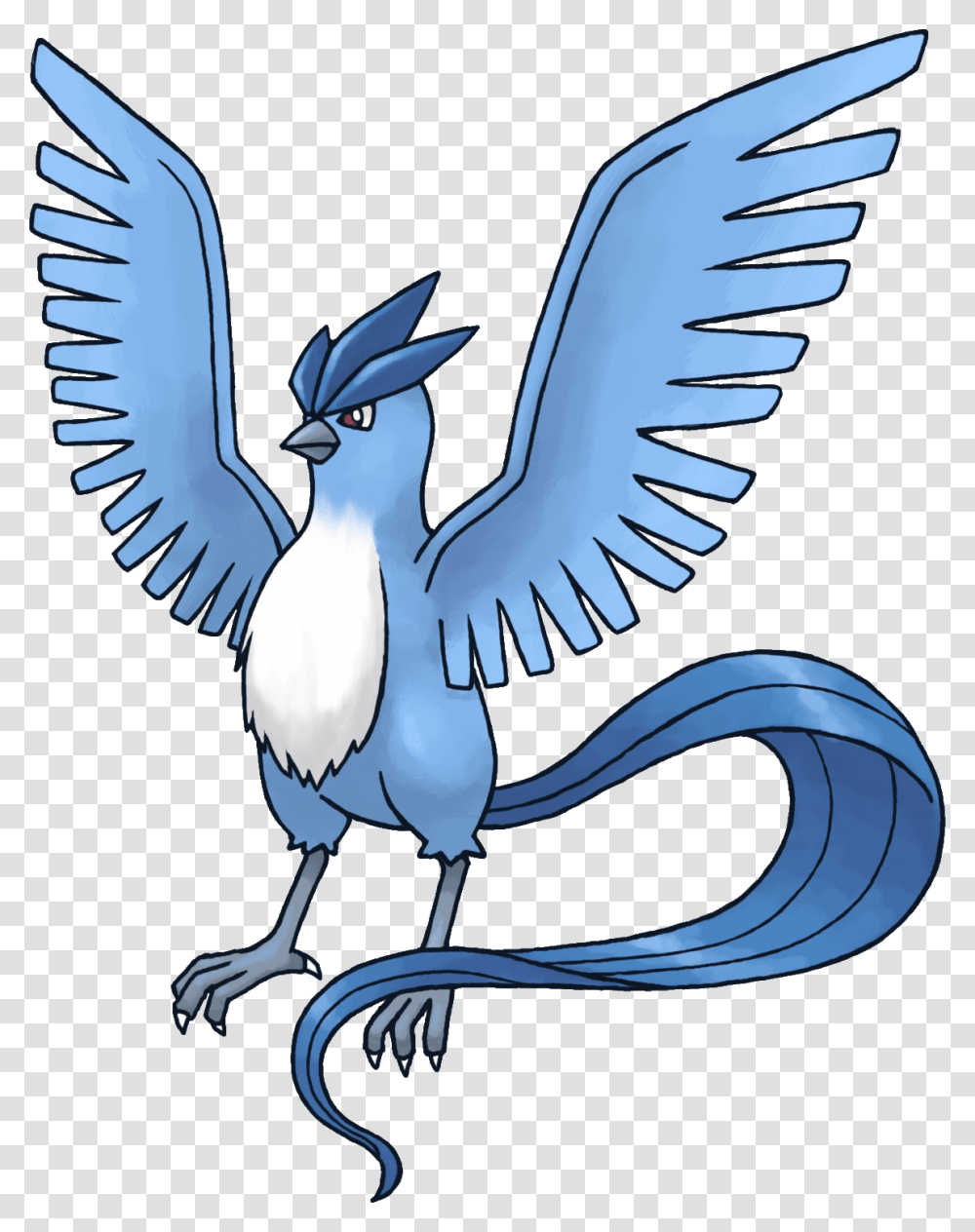 Image, Jay, Bird, Animal, Blue Jay Transparent Png