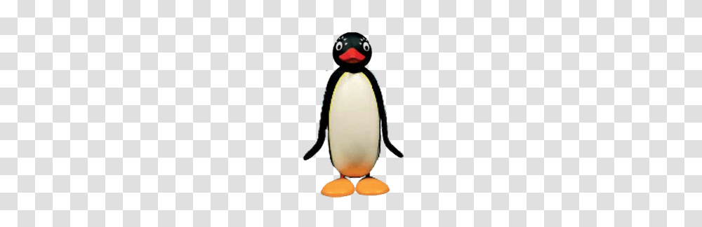 Image, King Penguin, Bird, Animal, Snowman Transparent Png