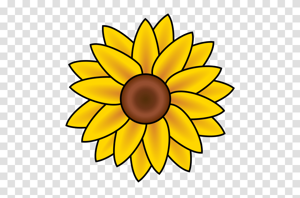 Image, Lamp, Plant, Flower, Blossom Transparent Png