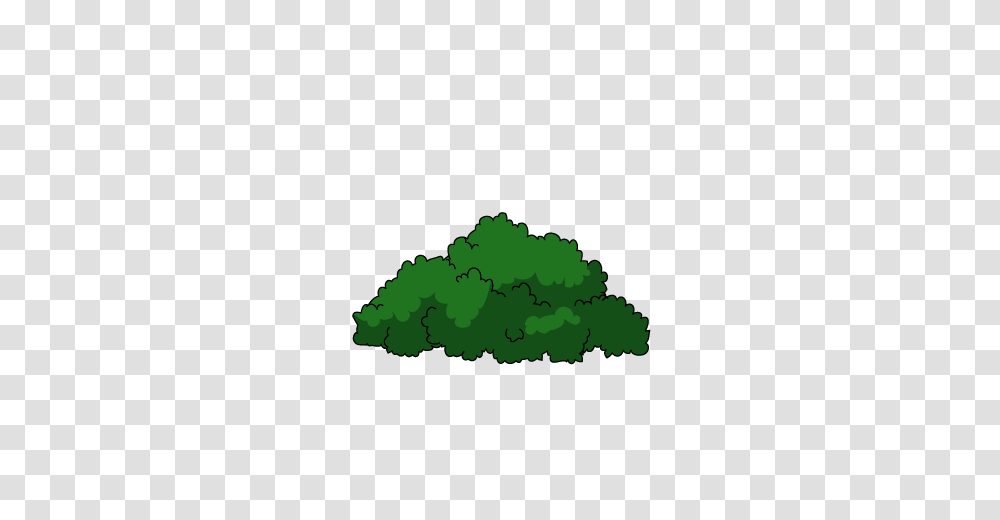 Image, Land, Outdoors, Nature, Tree Transparent Png