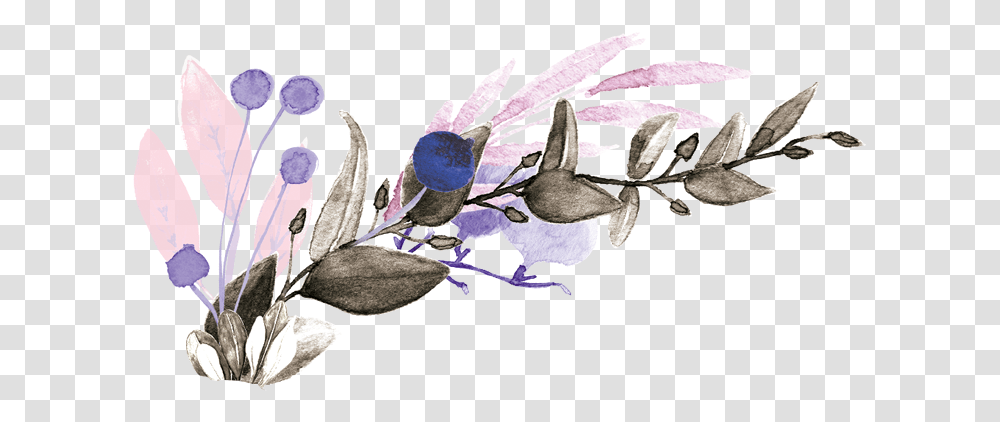 Image Lavender, Plant, Flower, Petal, Acanthaceae Transparent Png