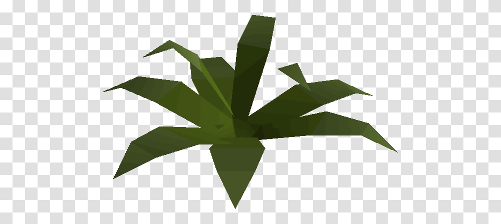 Image, Leaf, Plant, Green, Aloe Transparent Png