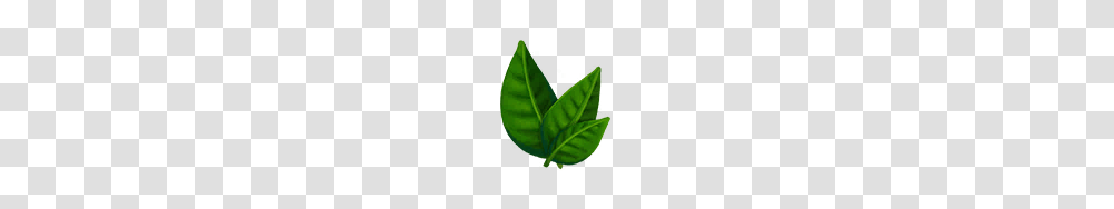 Image, Leaf, Plant, Green, Beverage Transparent Png