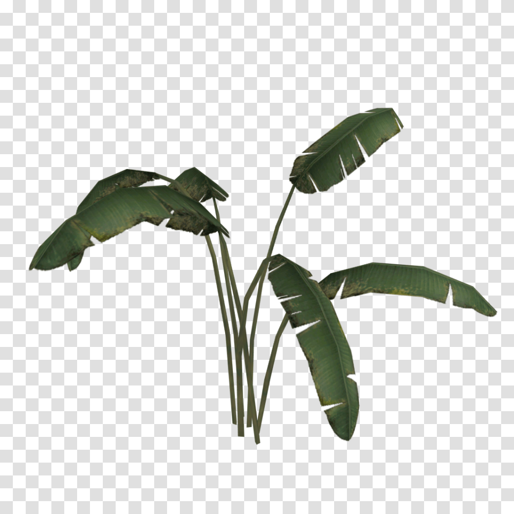 Image, Leaf, Plant, Green, Flower Transparent Png