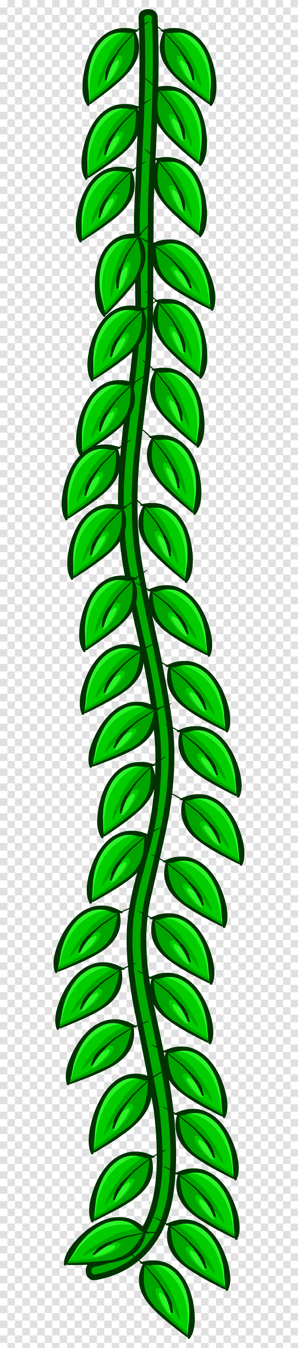 Image, Leaf, Plant, Green, Tree Transparent Png