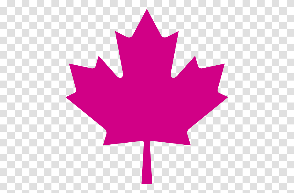 Image, Leaf, Plant, Tree, Maple Leaf Transparent Png