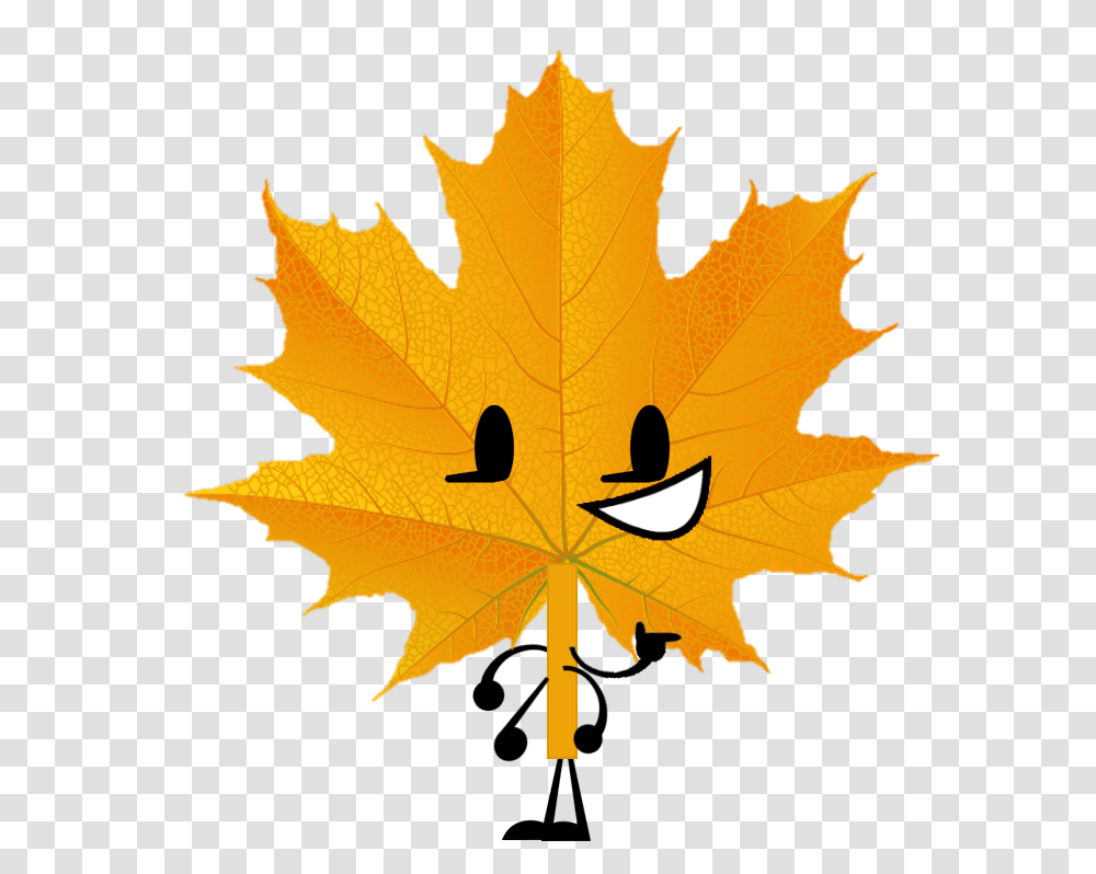 Image, Leaf, Plant, Tree, Maple Leaf Transparent Png