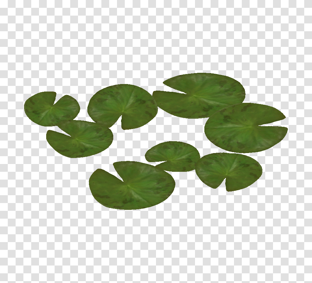 Image, Leaf, Plant, Water, Green Transparent Png