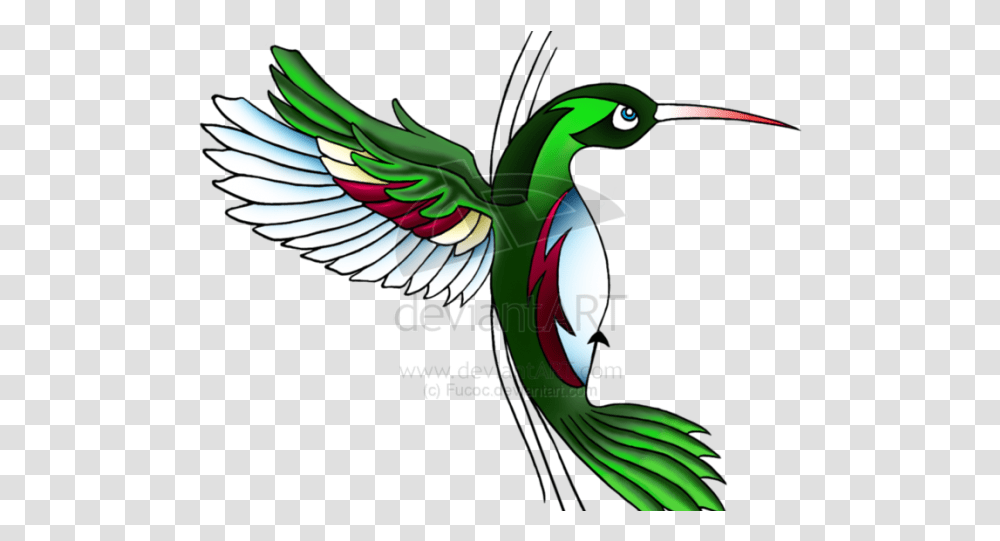 Image Library Download Hummingbird Clipart Flash Art Hummingbird Tattoo Designs, Animal, Banana, Fruit Transparent Png
