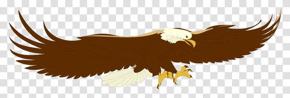 Image Library Library Bald Clipart Free Clipartix Flying Eagle Clip Art, Vulture, Bird, Animal, Condor Transparent Png