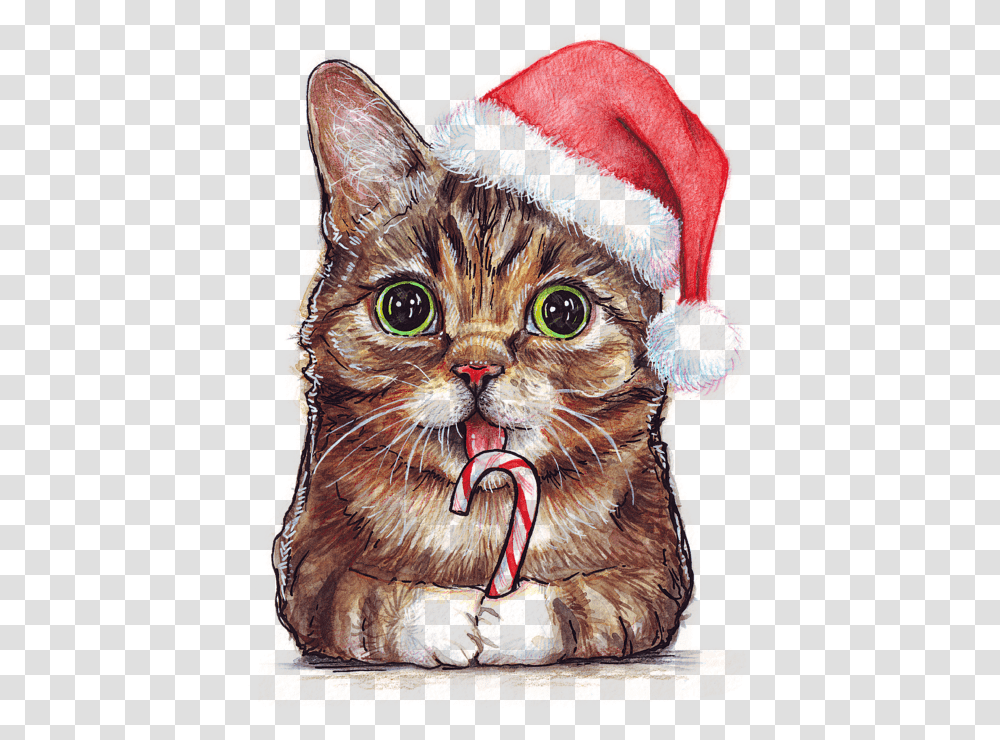 Image Lil Bub Cat With Christmas Hat Drawing High Christmas Image Cats, Bird, Animal, Pet, Mammal Transparent Png