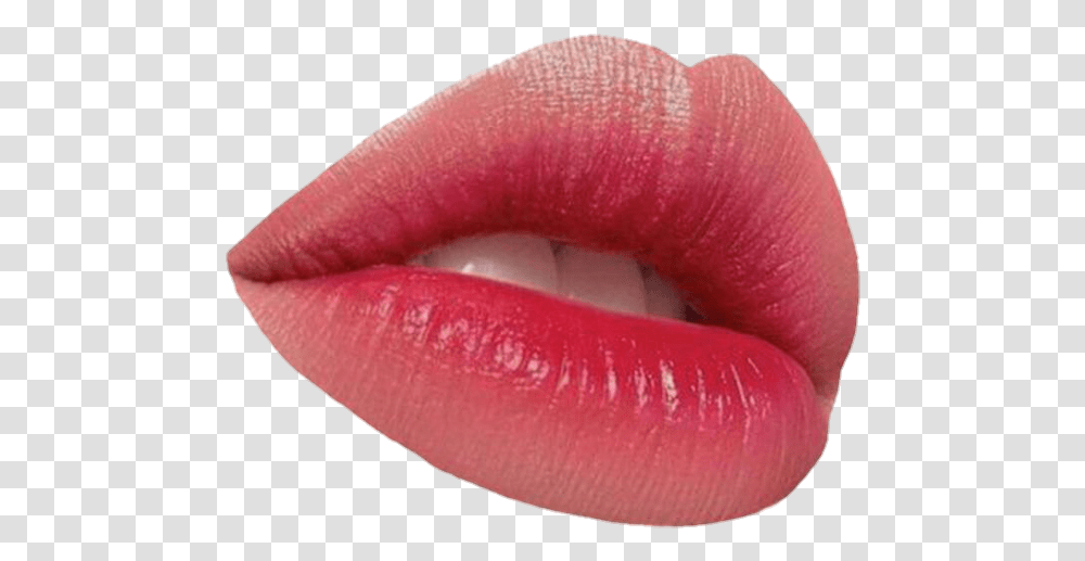 Image Lip Gloss, Mouth, Lipstick, Cosmetics, Teeth Transparent Png