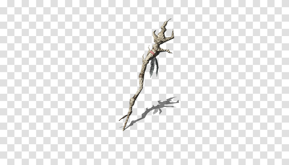 Image, Lizard, Reptile, Animal, Weapon Transparent Png