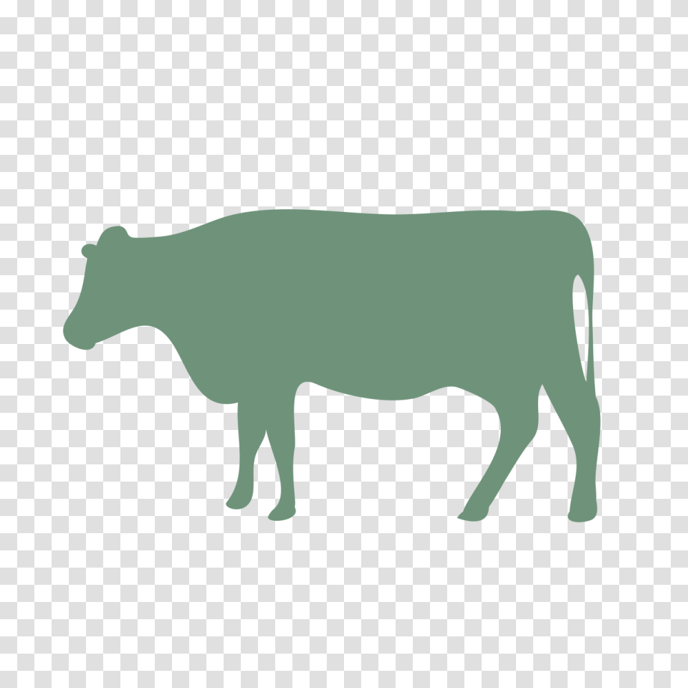 Image, Mammal, Animal, Cattle, Cow Transparent Png