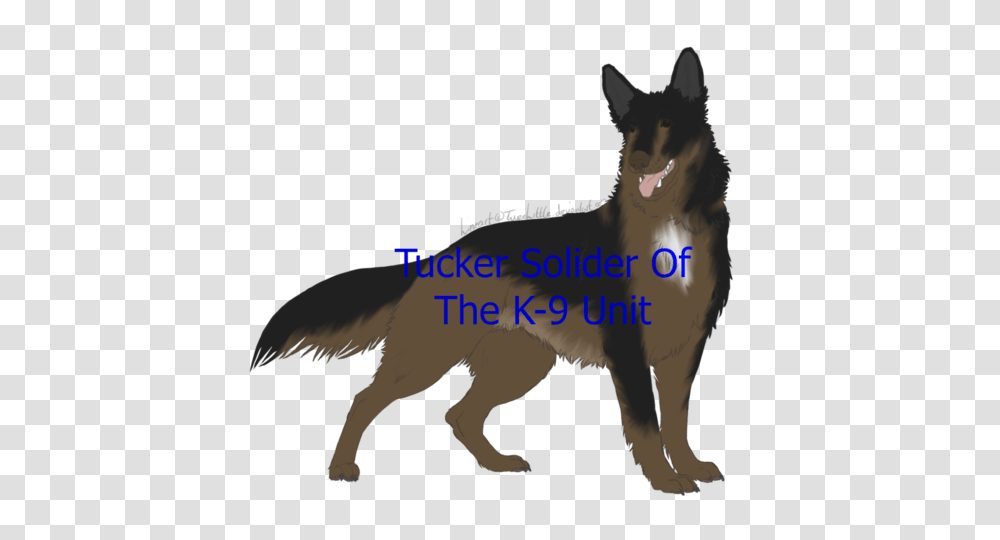 Image, Mammal, Animal, Coyote, Wolf Transparent Png