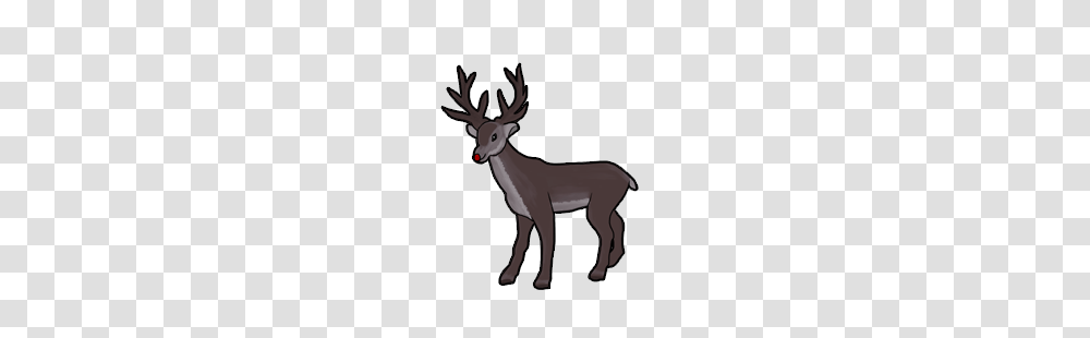 Image, Mammal, Animal, Deer, Wildlife Transparent Png