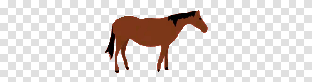 Image, Mammal, Animal, Horse, Donkey Transparent Png