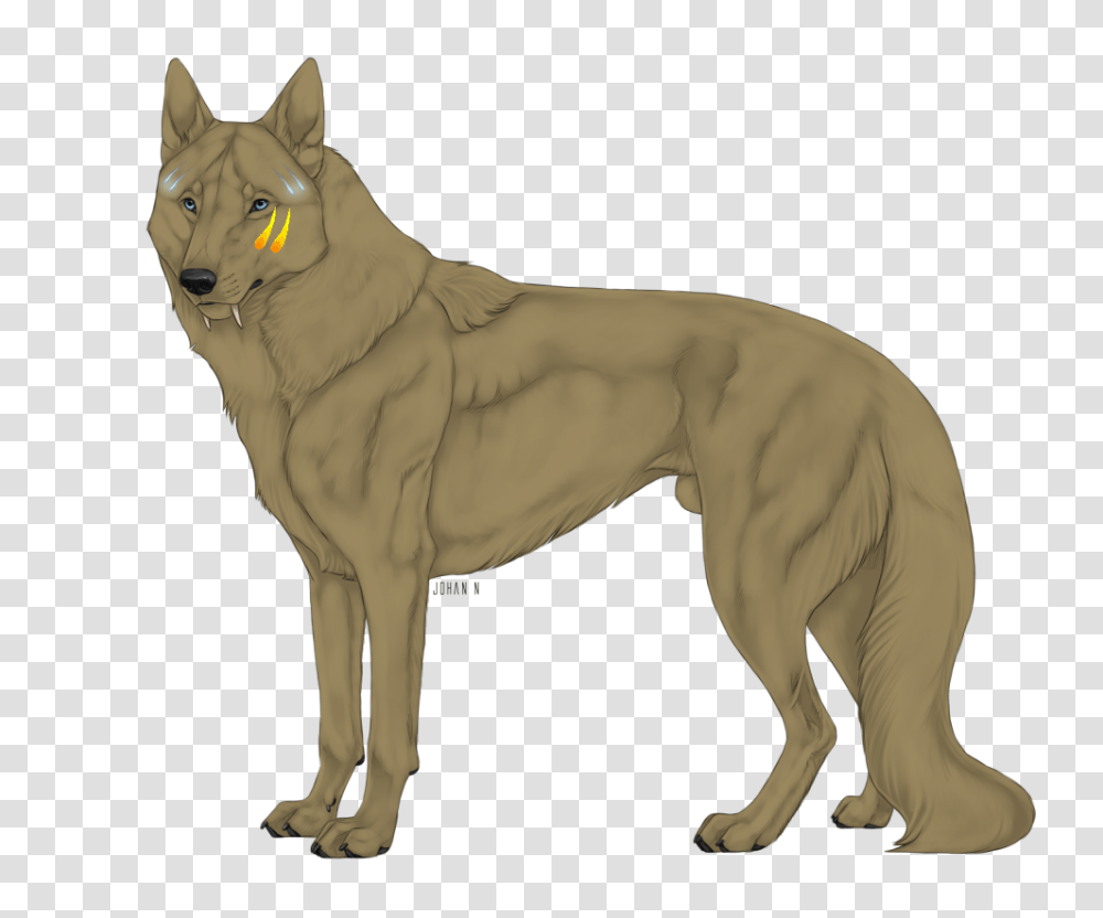Image, Mammal, Animal, Wolf, Coyote Transparent Png