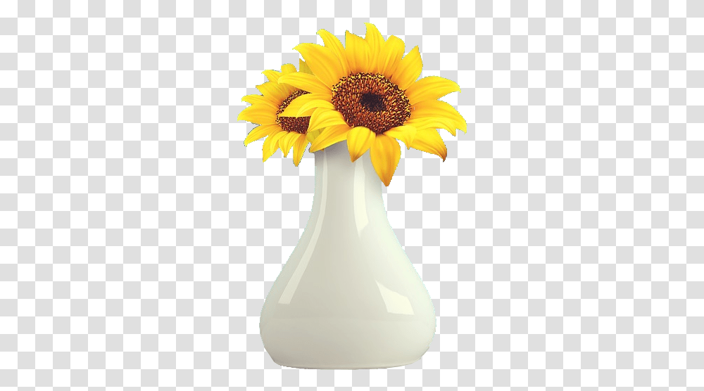 Image Matting Exercise The Collection - Steemit Sunflower Vase, Plant, Jar, Pottery, Daisy Transparent Png