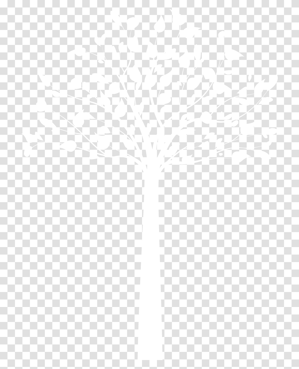 Image Not Found On Media Library White Tree, Texture, White Board, Apparel Transparent Png