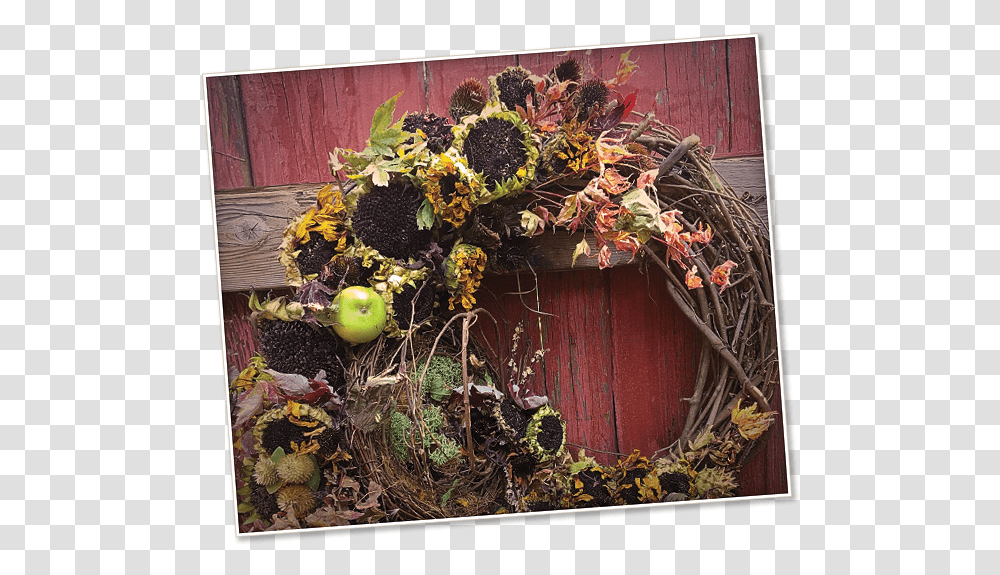 Image Of A Autumn Harvest Wreath Bouquet, Painting, Plant, Apple Transparent Png