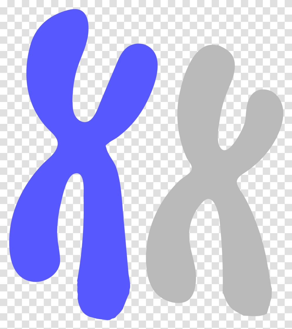 Image Of A Blue Chromosome Chromosomes Clipart, Alphabet, Logo Transparent Png