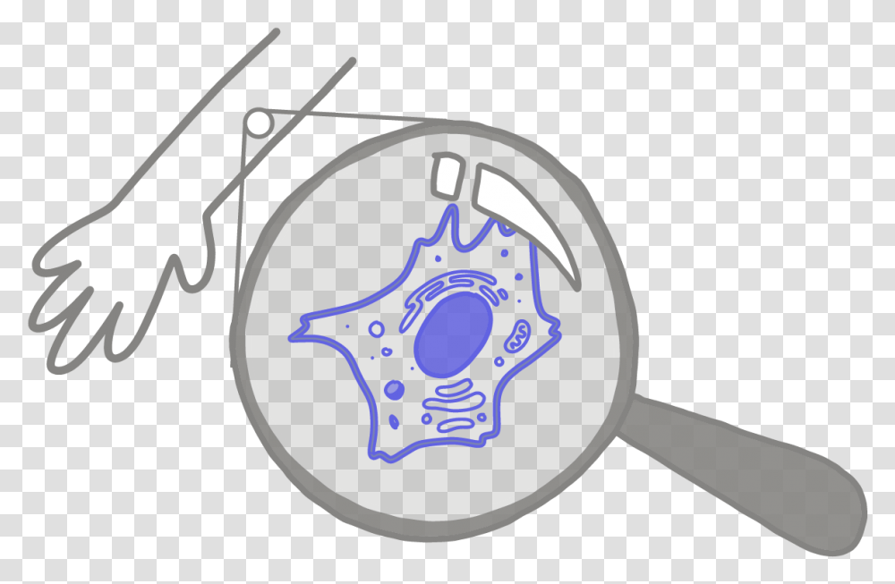 Image Of A Blue Somatic Cell Under A Magnifying Glass Somatic Cells, Musical Instrument, Sphere, Baseball Cap, Hat Transparent Png
