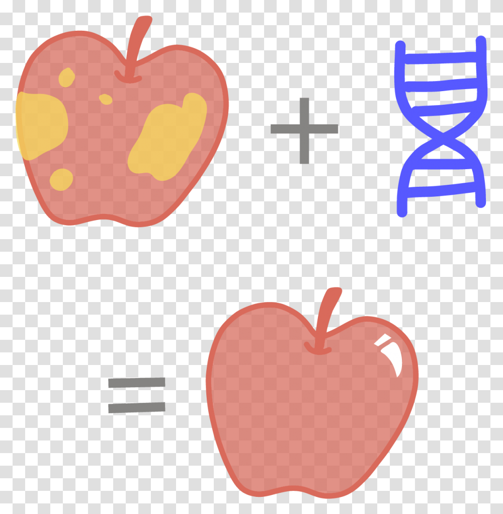 Image Of A Genetically Modified Rotting Apple That Genetically Modified Gmo, Plant, Fruit, Food Transparent Png