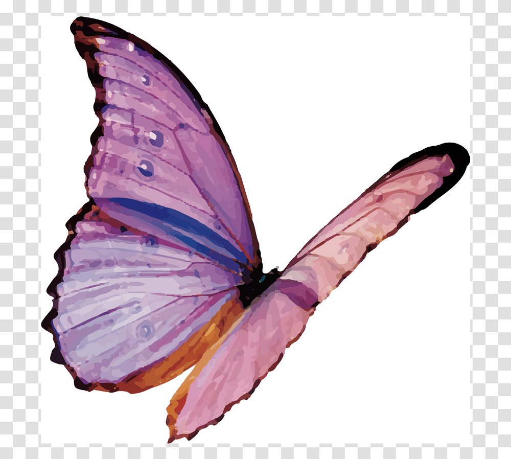 Image Of A Purple Butterfly Flying Moth, Animal, Insect, Invertebrate, Plant Transparent Png