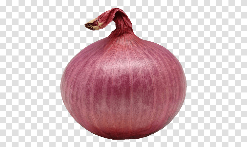 Image Of An Onion, Plant, Shallot, Vegetable, Food Transparent Png