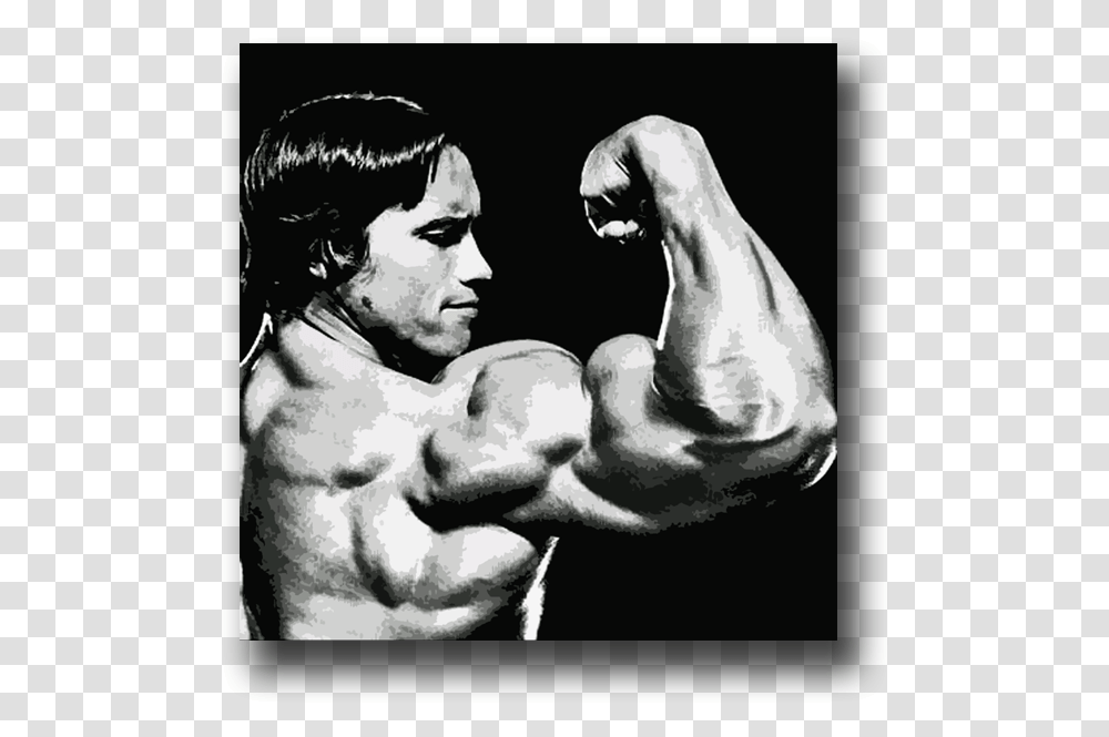 Image Of Arnold Schwarzenegger Kastrupfort, Arm, Person, Human, Hand Transparent Png