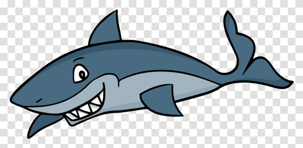 Image Of Best Clip Clipart Of Shark, Sea Life, Animal, Fish, Mammal Transparent Png