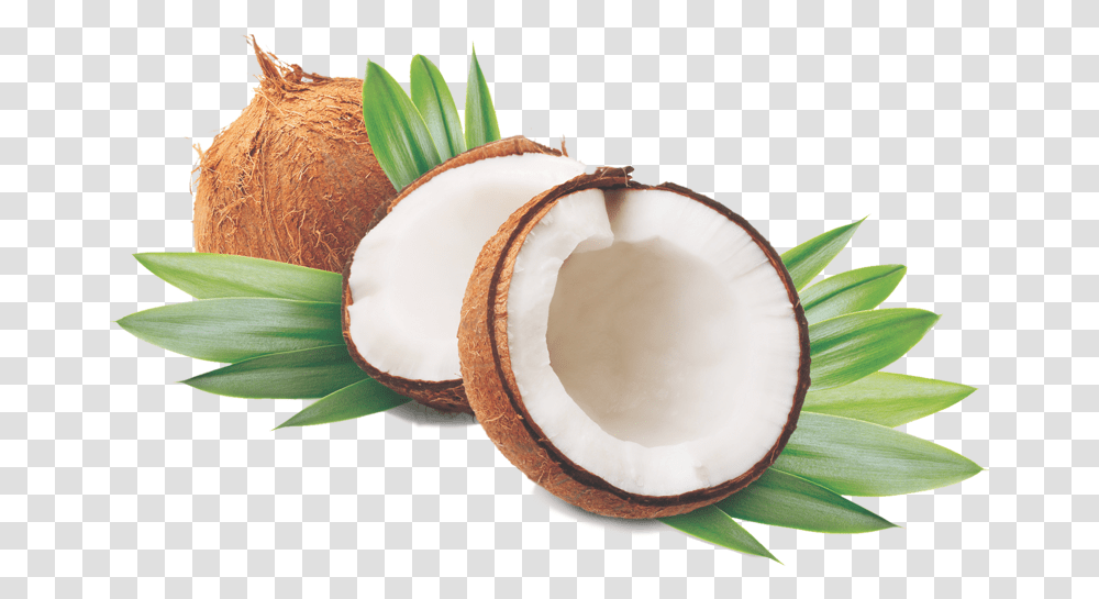 Image Of Coconut Oil, Plant, Vegetable, Food, Fruit Transparent Png