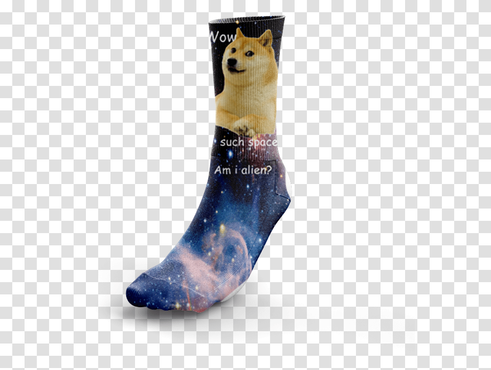Image Of Doge In Space Ferret, Sock, Shoe, Footwear Transparent Png