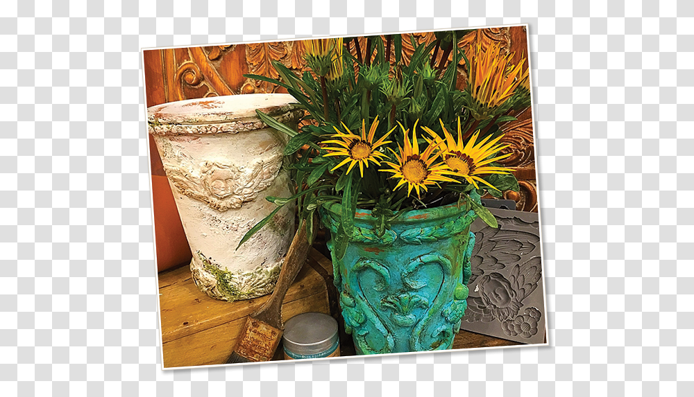 Image Of Italian Terracotta Pots Gazania, Plant, Flower, Blossom, Outdoors Transparent Png