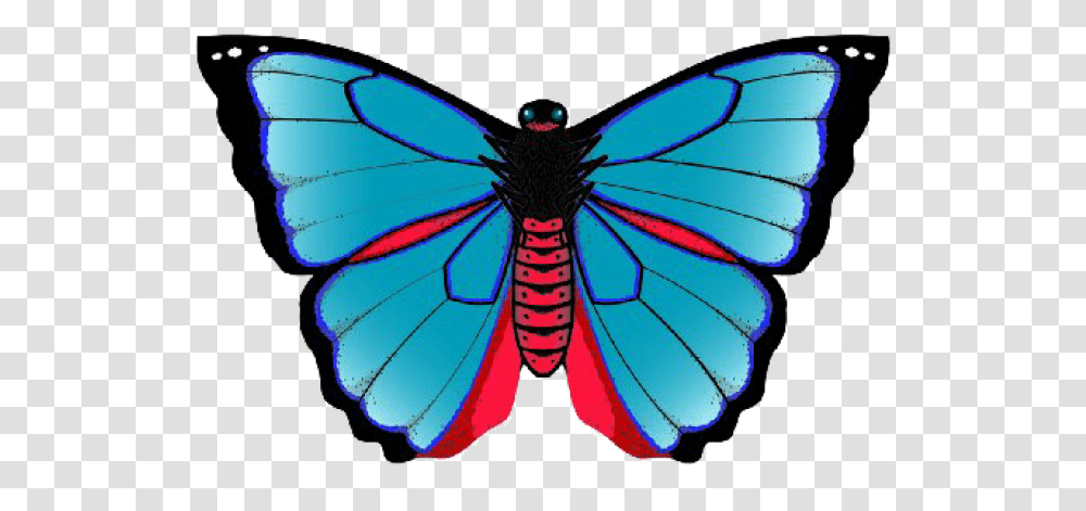 Image Of Karner Blue Butterfly Kite Papilio, Ornament, Pattern, Soccer Ball, Team Sport Transparent Png
