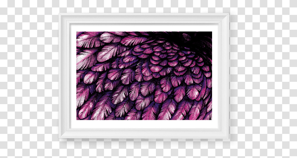 Image Of Pink Blue Feathers Picture Frame, Rug, Plant, Modern Art Transparent Png