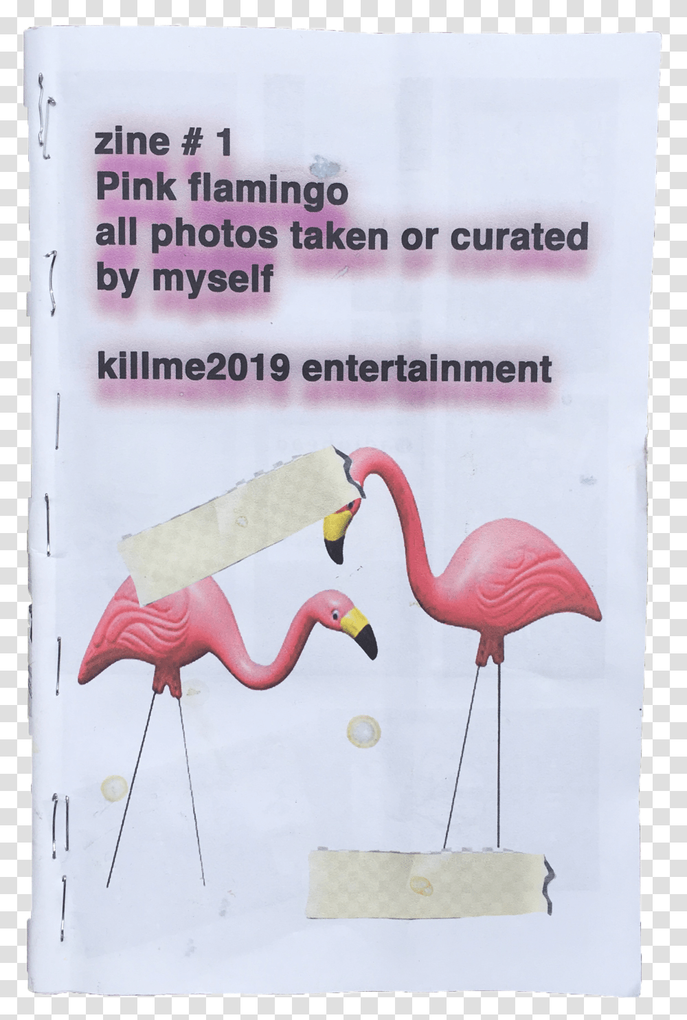 Image Of Pink Flamingo Zine Transparent Png
