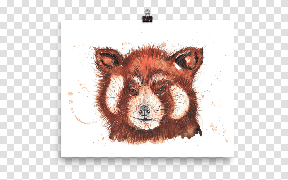 Image Of Red Panda Red Fox, Doodle, Drawing, Cat Transparent Png