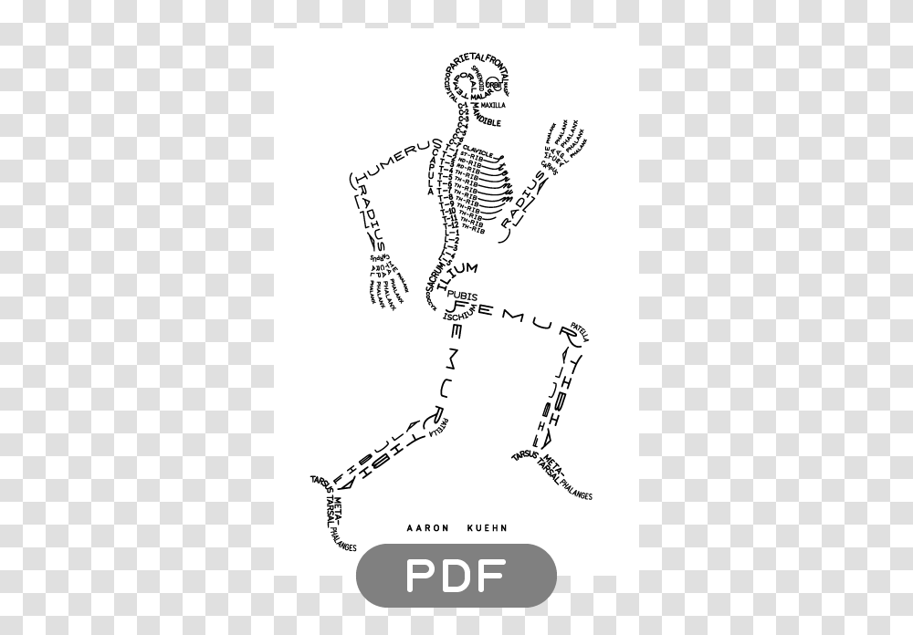 Image Of Skeleton Typogram Cool Pictures Of The Skeletal System, Drawing, Leisure Activities Transparent Png