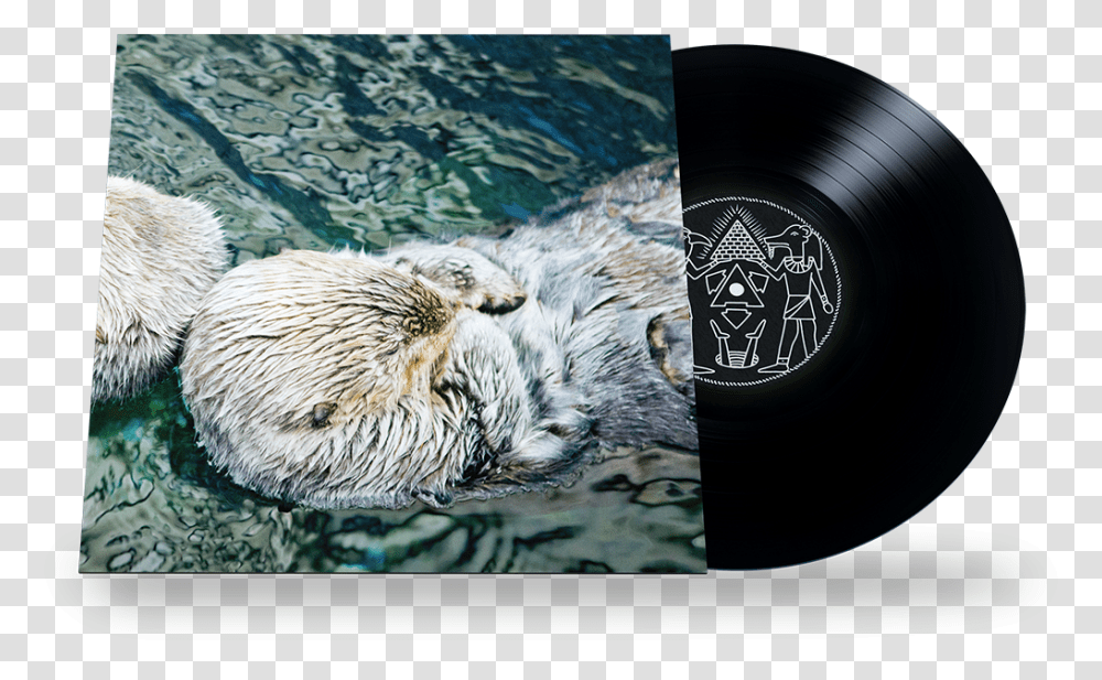 Image Of Twerk Otter Otter, Mammal, Animal, Bird, Wildlife Transparent Png