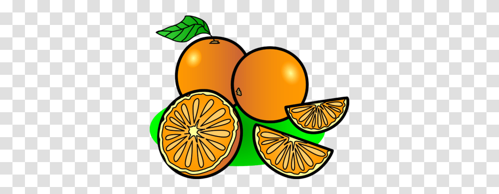 Image Oranges Food Clip Art Oranges Clipart, Plant, Citrus Fruit, Lemon, Grapefruit Transparent Png